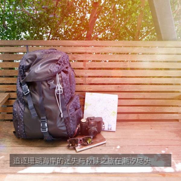 追逐珊瑚海岸的迷失与救赎之旅在潮汐尽头